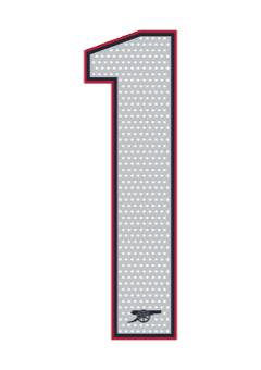 Arsenal 2026 — Away 1