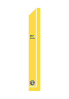 Club América 2024 — Away 1