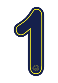 Fenerbahçe 2026 — Away 1