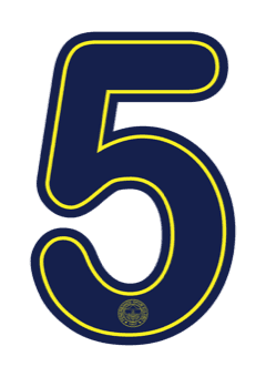 Fenerbahçe 2026 — Away 5