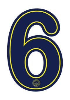 Fenerbahçe 2026 — Away 6