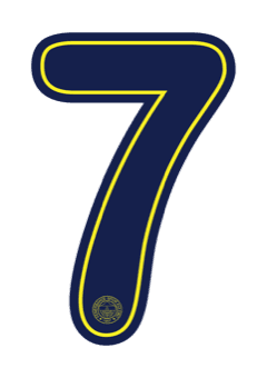 Fenerbahçe 2026 — Away 7