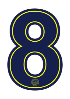 Fenerbahçe 2026 — Away 8
