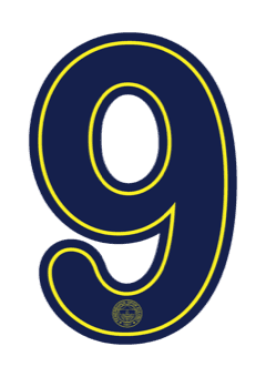Fenerbahçe 2026 — Away 9
